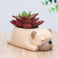 Animal Planter Pot