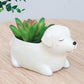 Animal Planter Pot